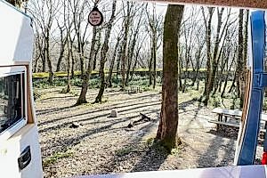 küçük prens karavan7