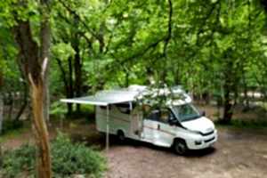 iveco10